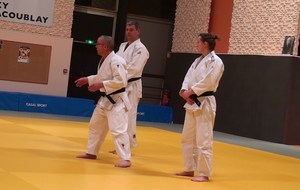 Cours de judo avec Martin