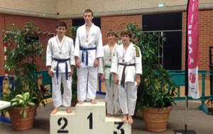 Judo Championnat des Yvelines Minimes