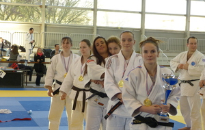 Judo Championnat des Yvelines par équipes