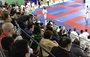 Dimanche 22 mai 2016 Judo résultats Coupe des Yvelines Cadets(tes)