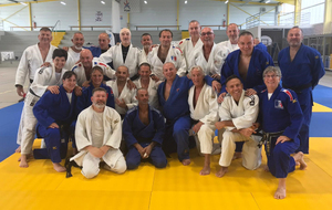 Stage judo vétérans
