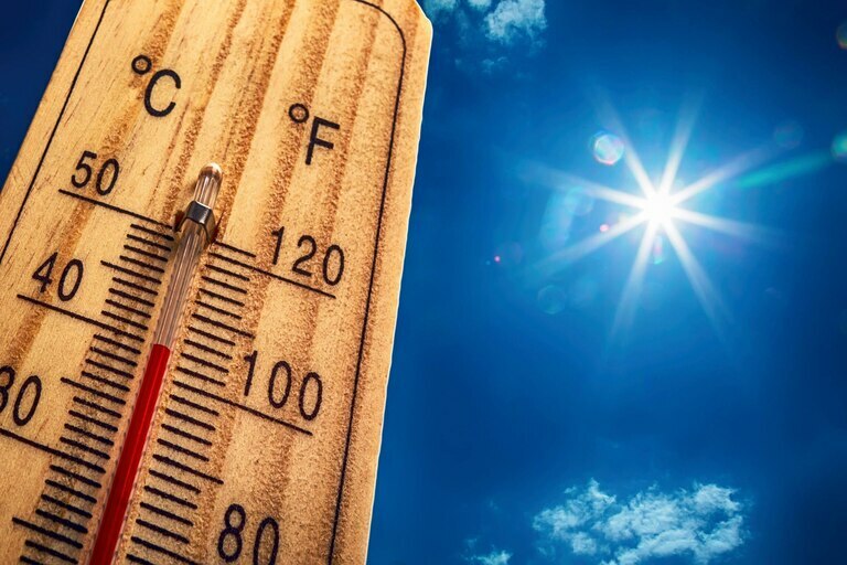 CANICULE - Annulation des cours
