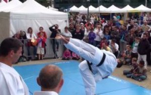 Fête des Associations de Vélizy