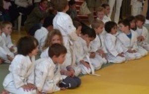 Rentrée Baby judo