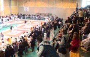 JUDO TOURNOI D'IGNY 2010. Résultats