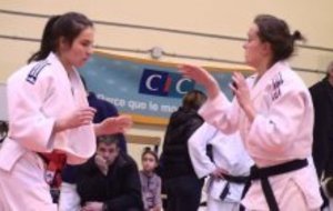 Coupe des Ceintures Noires 2012 