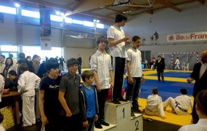 Résultats championnat des Yvelines judo benjamins(es)