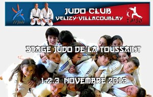 STAGE JUDO VELIZY