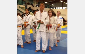 Judo 1 er tour secteur benjamines Yvelines