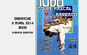 JUDO COUPE PASCAL BARRACO VELIZY