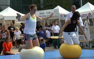 Septembre 2014 Fête des Associations à Vélizy