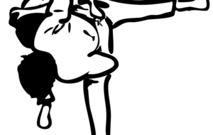 Stage judo de la Toussaint