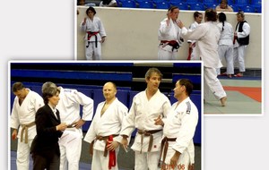 Ceintures de couleur