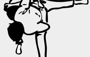 1er tour secteur 2 Benjamins - Shiaï 1°2°3° Dan F/M