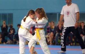 Pas de cours judo lundi 25 mai 2015