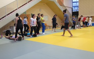 Cours Taïso maintenu le 11 Novembre 2015