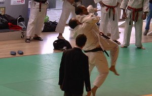 Résultats Shiaï de Brétigny
