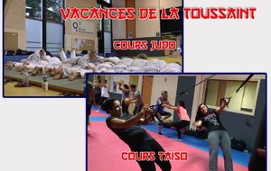 COURS JUDO ADULTES ET COURS TAÏSO