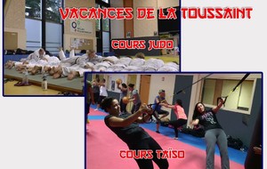 COURS JUDO ADULTES ET COURS TAÏSO