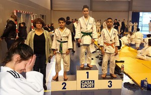 Judo Championnat départemental des Yvelines