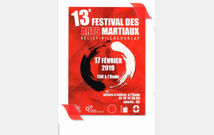 Dernières Répétitions Festival Arts Martiaux
