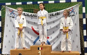 Tournoi Judo du Blanc Mesnil