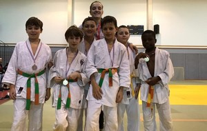 Judo Compétition du Perray en Yvelines