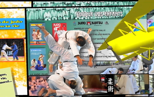 Derniers cours judo et taïso ....sortie fin de saison