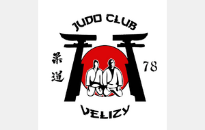 COURS JUDO ADULTES