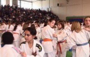 Championnat des Yvelines Minimes et Benjamins