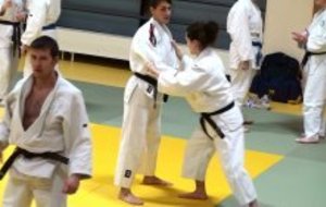 REPRISE DES COURS JUDO.