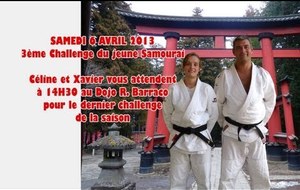 2013 04 06 3ème challenge samourai