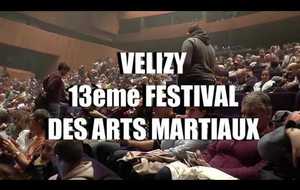 Festival des Arts Martiaux 2019