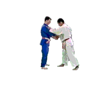 Challenge de Versailles