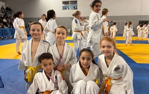 Coupe des Samouraïs