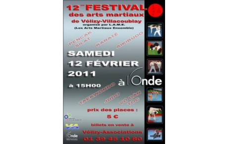 FESTIVAL DES ARTS MARTIAUX