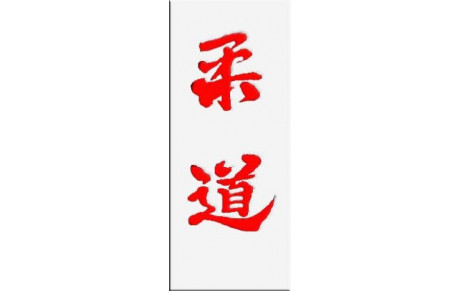 STAGE TECHNIQUE NE WAZA 