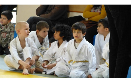 Beau succès pour le dernier challenge judo de la saison