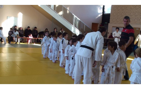 JUDO 2éme CHALLENGE DU JEUNE SAMOURAÏ