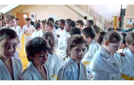 1er Challenge du jeune Samouraï le Samedi 22 Novembre 2014 