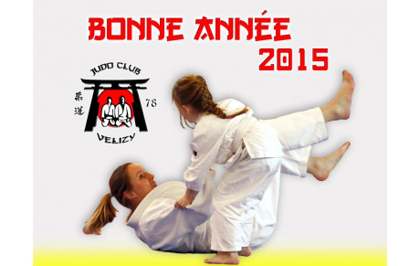 BONNE ANNEE 2015