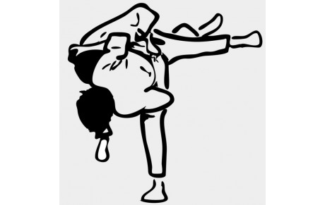 1er tour secteur 2 Benjamins - Shiaï 1°2°3° Dan F/M