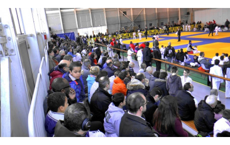 Judo résultats 2ème tour secteur benjamins