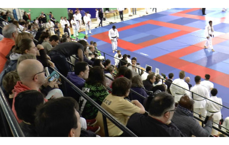 Dimanche 22 mai 2016 Judo résultats Coupe des Yvelines Cadets(tes)