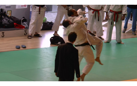 Résultats Shiaï de  Brétigny