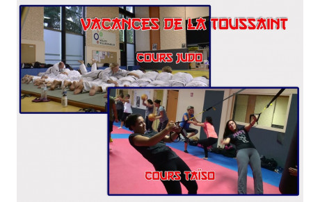 COURS JUDO ADULTES ET COURS TAÏSO