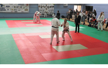 Judo 25ème challenge de la Ville de Troyes