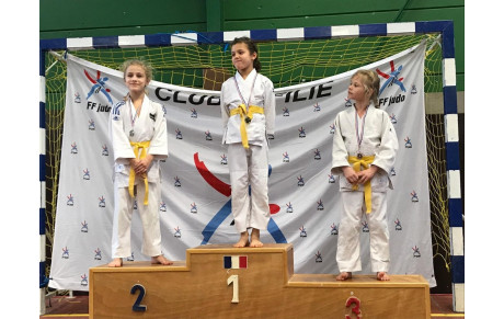 Tournoi Judo du Blanc Mesnil