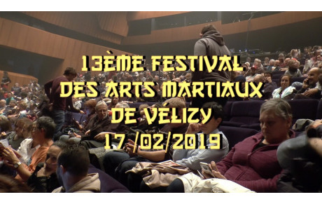 13 ème FESTIVAL DES ARTS MARTIAUX