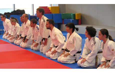 Rentrée cours judo adultes